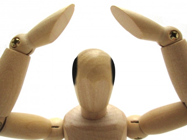 「このハゲー」も登場、「髪川柳」入賞作　時事ネタを織り込んだ句が目立つ