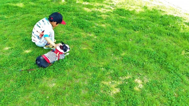 「去年死んだ犬」めぐる感動話　ネット民「うるっときたわ」