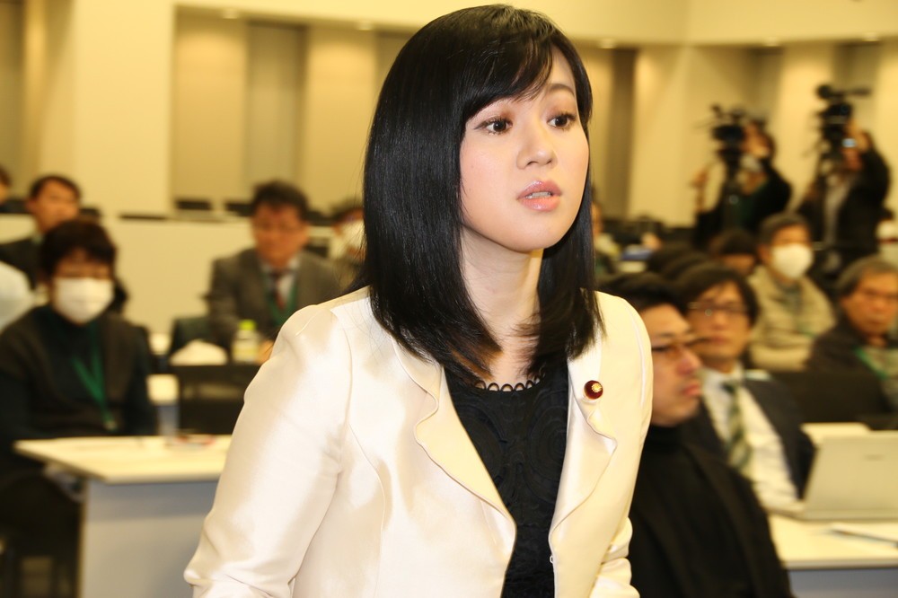 上西小百合、「政治タレント」めざしリポーター挑戦　「なぜ起用？」「印象かわった」と賛否