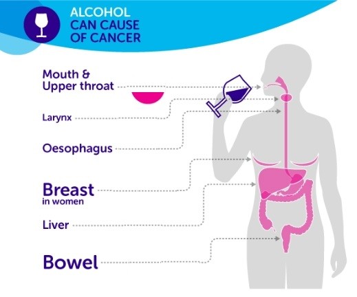 米国臨床腫瘍学会が発表した、各がんとアルコールの関係図（同学会のプレスリリースより）