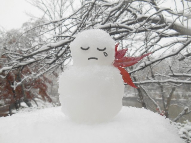 寒い日の朝に突然死！「血圧サージ」に注意　自覚症状なし、血圧急上昇を防ぐ４つの方法