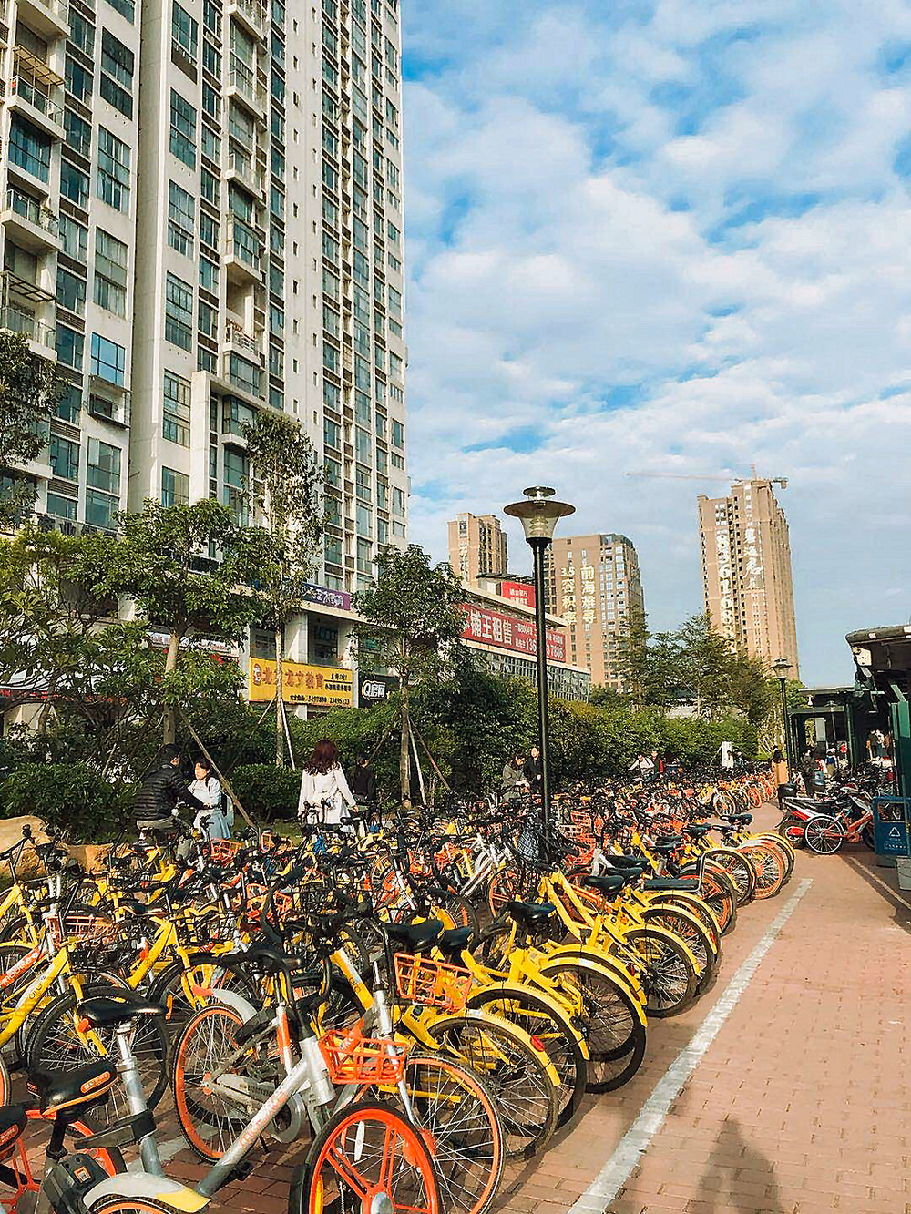 中国では自転車シェアリングが一気に拡大した（広東省深センにて2017年11月23日撮影）
