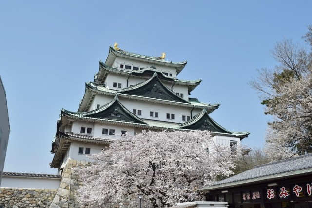 名古屋城の復元めぐり論争　「史実に忠実」か「エレベーターは必要」か