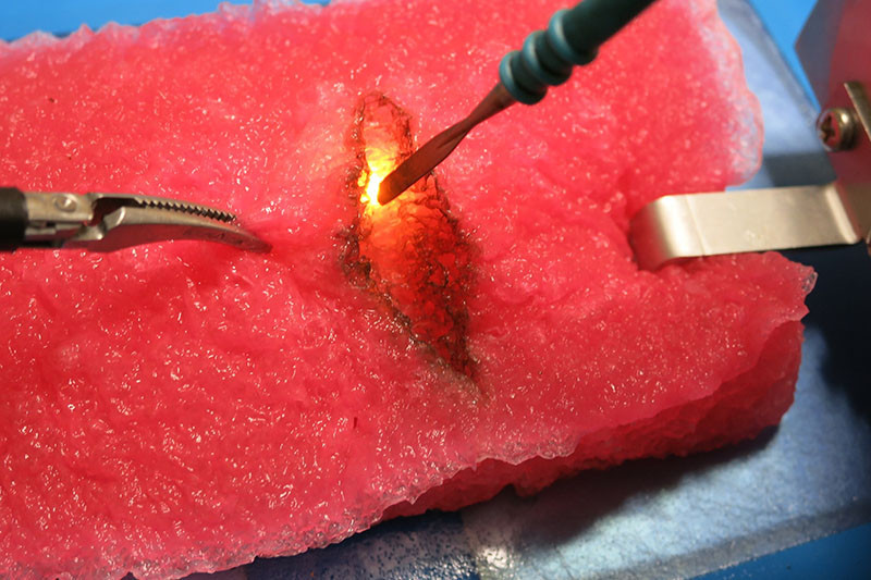 野菜から作った超リアルな臓器の模型　医師の手術練習用に、動物を使いづらく