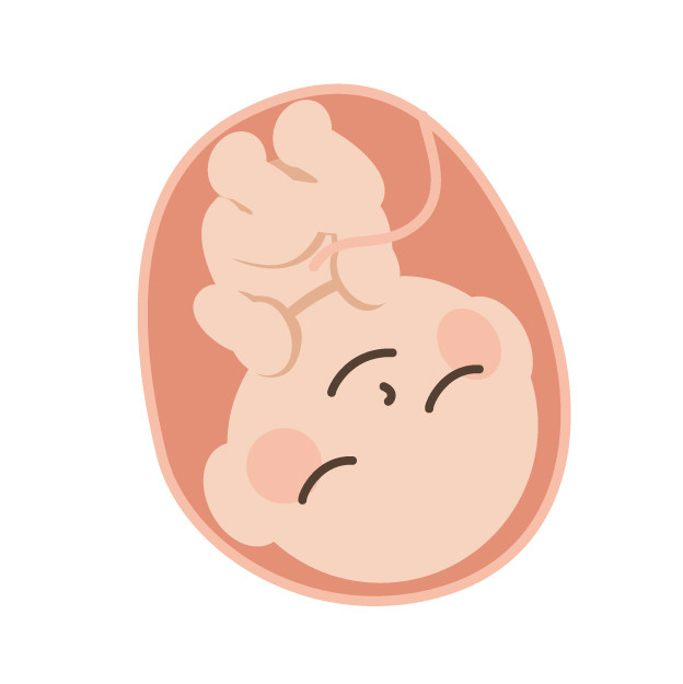 兄弟が多いほど同性愛者になりやすい謎　胎児の時に母体から受ける「影響」に秘密