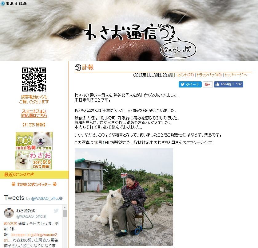 ブサカワ犬「わさお」にエールも　飼い主の菊谷節子さん死去