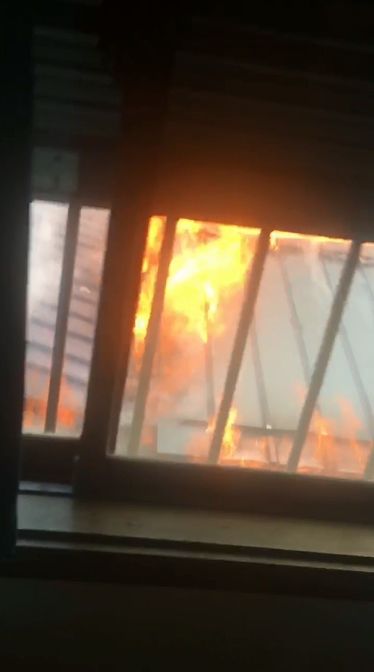 屋内から撮影したもの（妹尾ユウカさん提供の動画から編集部でキャプチャー）