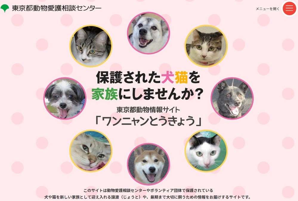 東京都が犬猫譲渡情報サイト開設　「殺処分ゼロ」めざしアクセルふかす
