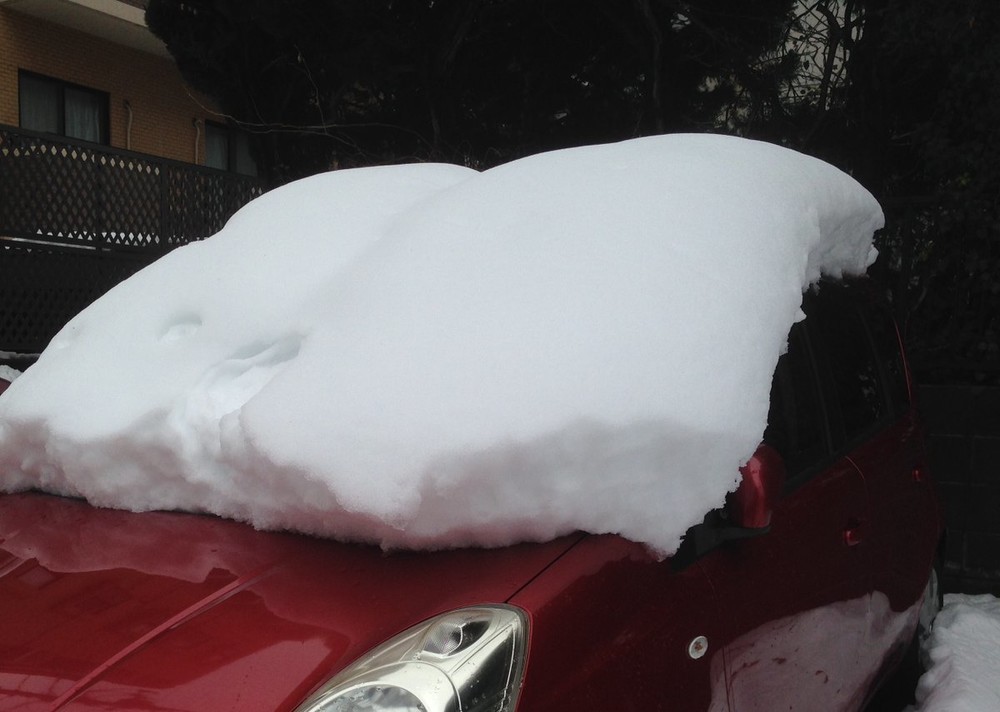 車の屋根の雪、落とさず走ると「非常に危険」　人気声優も指摘「命がかかっております」