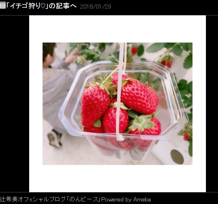 騒動の発端となった「イチゴ狩り」時の写真（辻さんのブログより）