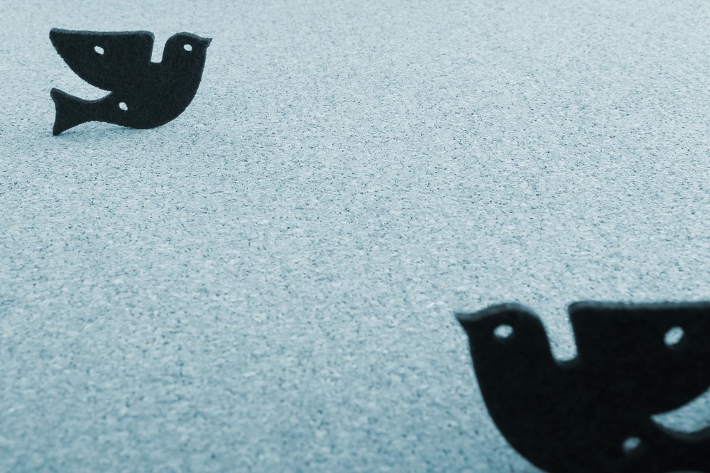 ツイッター、初の黒字達成も日本では不満の声が後絶たず　「以前の仕様に戻して」