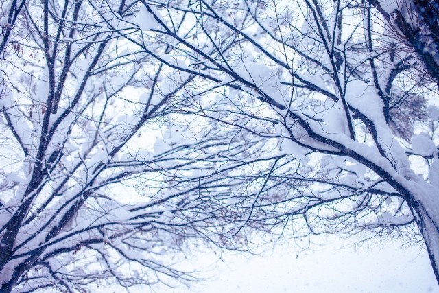 大雪で福井新聞が「隠れメッセージ」　五輪記事「白抜き」文字をつなげると...