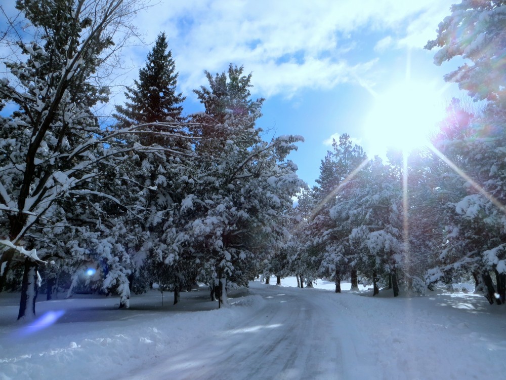 NHK「休暇」記者の「吹雪救助」で死者　「不要不急の外出」との関係