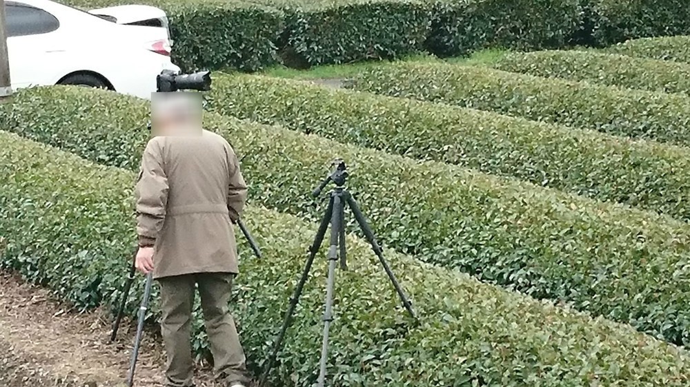 撮り鉄の男性が茶畑にカメラの三脚を立てている（提供写真、編集部で一部加工）