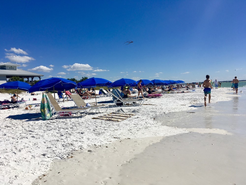 岡田光世「トランプのアメリカ」で暮らす人たち　「もう顔も見たくない」コミュニティの亀裂