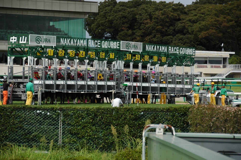 ダノンプレミアム回避で中山競馬場で行われる皐月賞は混戦模様に（niluluさん撮影、画像はflickrより）