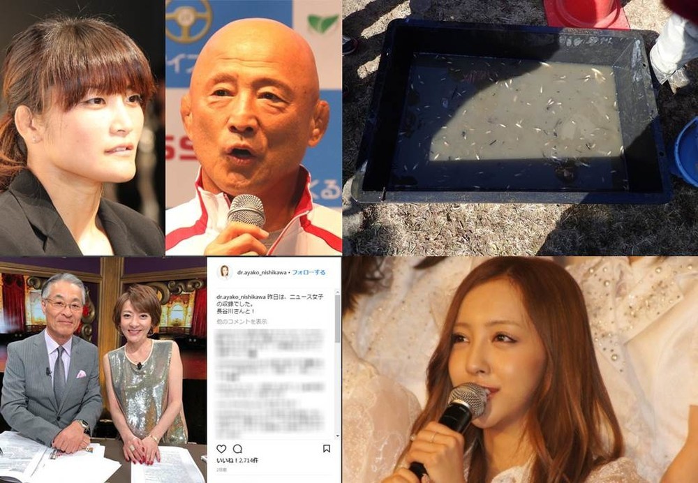 J-CASTニュースランキング　3月は「レスリング」か「改ざん」かそれとも...