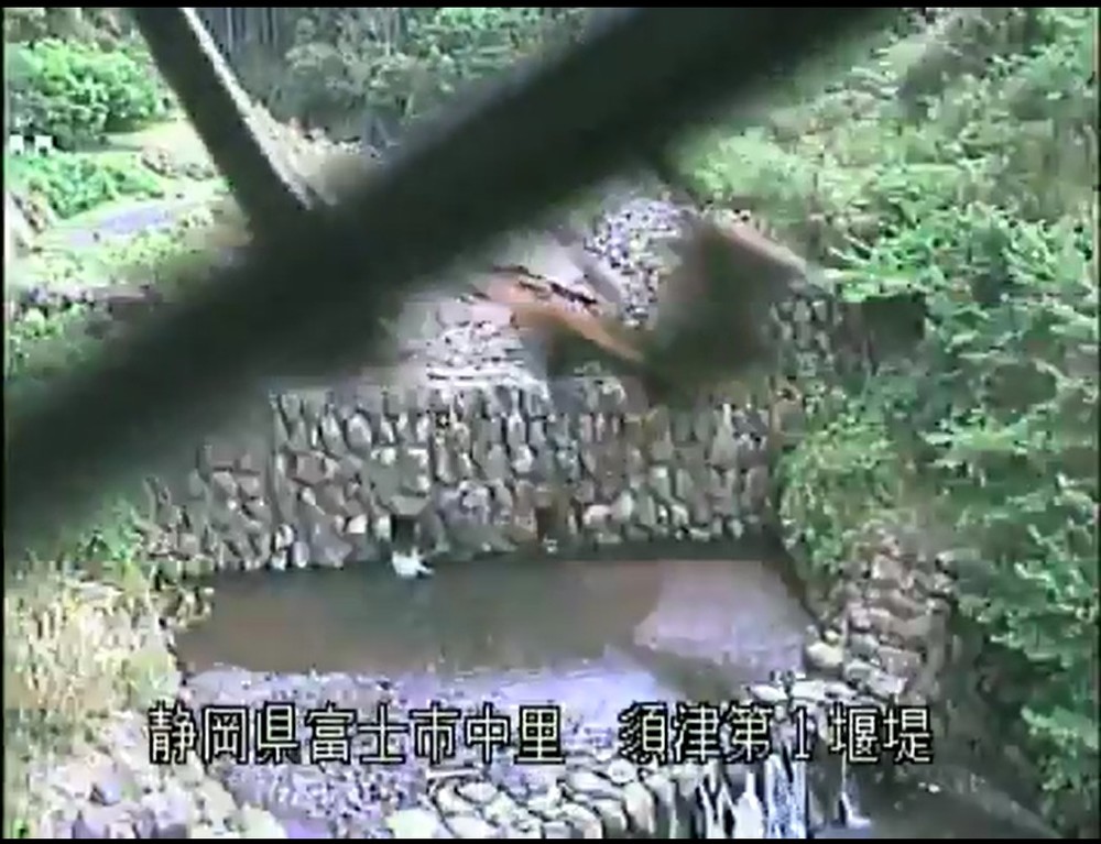 防災カメラのワイパーで巣作りを始めてしまったハチ（提供：国土交通省中部地方整備局富士砂防事務所）