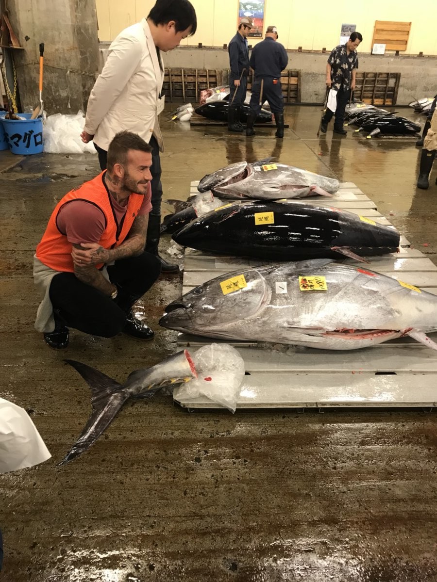 マグロの競りを見学するベッカムさん（写真提供：九代目 久左エ門）