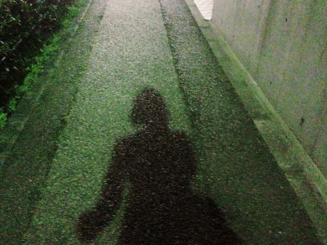 夜道の歩き方をめぐって紛糾（写真はイメージです）