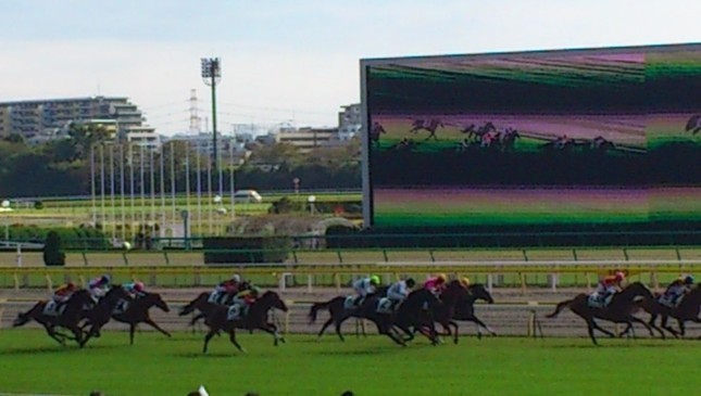 藤田菜七子騎手、G1騎乗可能に　「スゴい！」「まだ20歳!?」とダブルの驚き