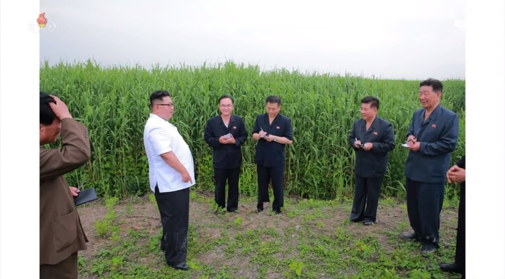 農場を指導する正恩氏のズボンは泥で汚れているように見える（写真は朝鮮中央テレビから）