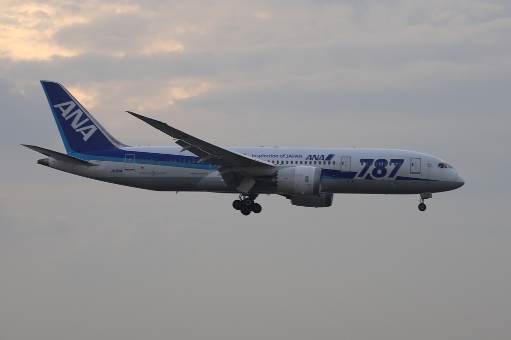 全日空（ANA）のボーイング787型機（2015年撮影）
