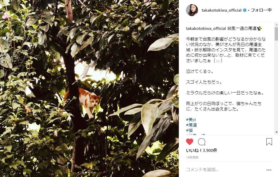 常盤貴子さんのインスタグラムより