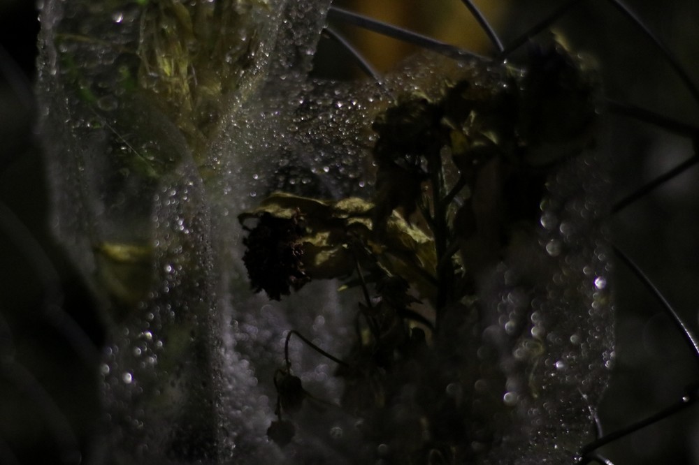 事故現場に手向けられていた花束。供えたのは誰だろうか