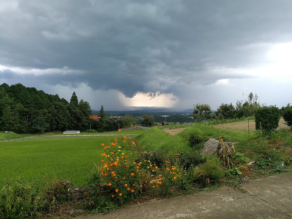 ゲリラ豪雨の「雨柱」は岡山でも。写真は＠maruchan_briさん提供、13日撮影