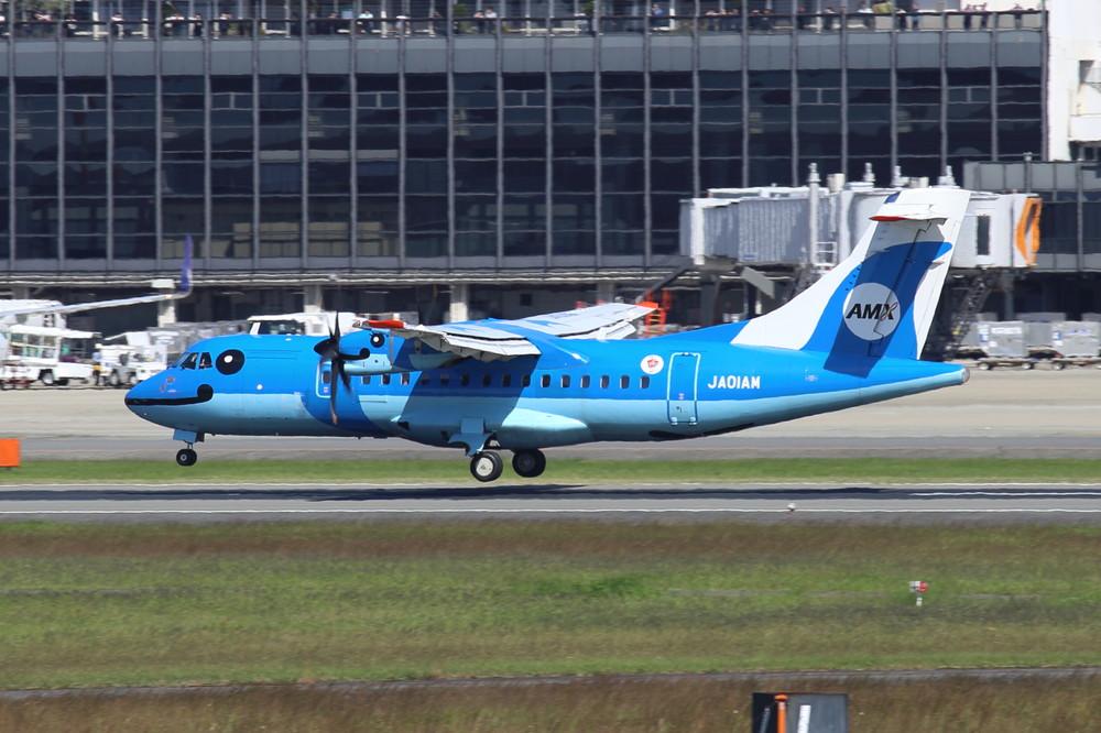 パイロット7人の天草エアライン　2人乗務停止で大弱り...欠航相次ぐ