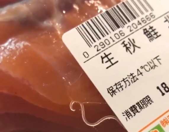 アニサキスが食品に混入していた（ねもぱい #LCC激安トラベラー＠nemo_nemoさん投稿の動画から）