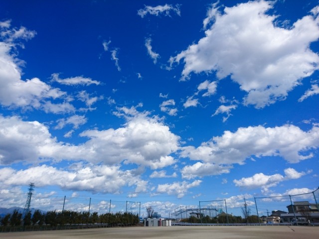 甲子園準V金足農便乗町おこし、結局「空振り三振」でゲームセット