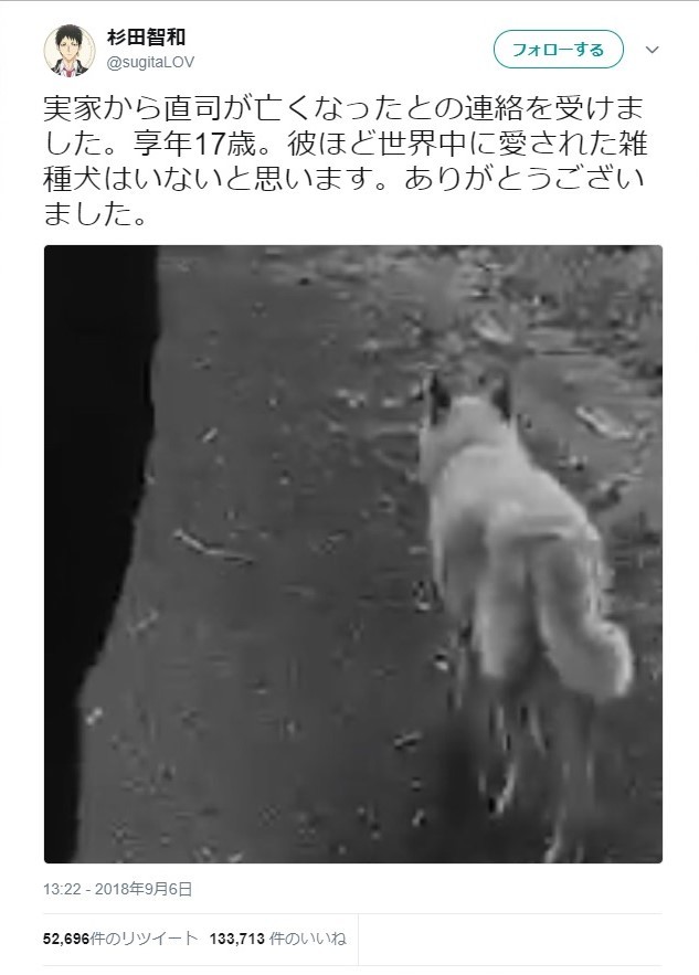 自分がもう1人いるような 杉田智和が語っていた愛犬 直司への想い J Cast ニュース 全文表示
