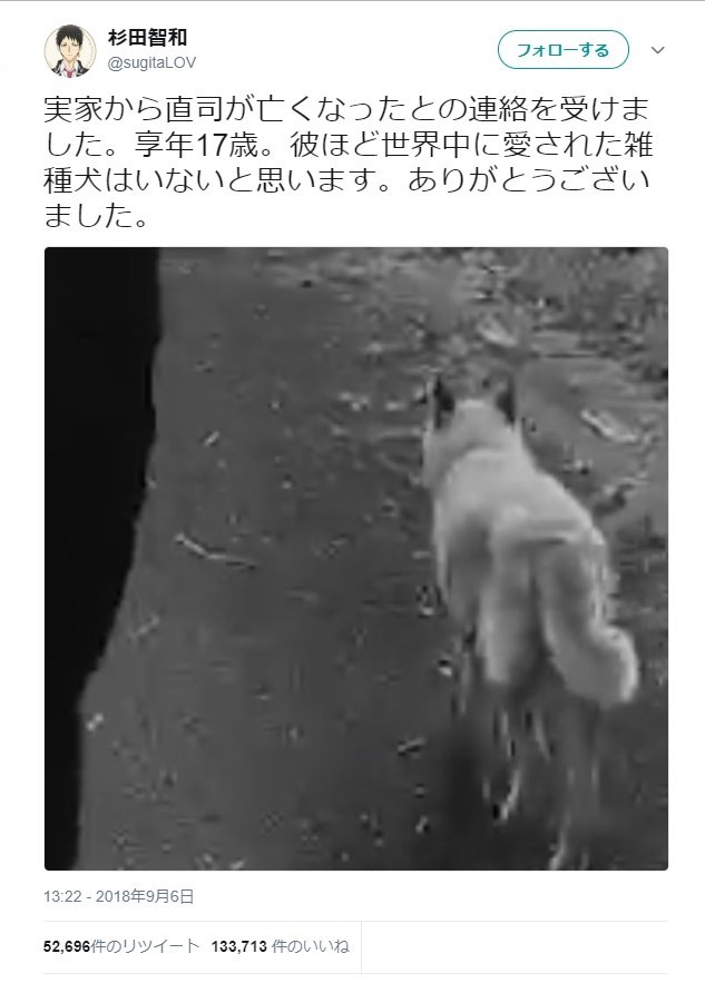 「自分がもう1人いるような...」　杉田智和が語っていた愛犬・直司への想い