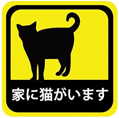 「家に猫がいます」...話題のステッカーに「深い意味」はあるのか　制作者が明かした真相