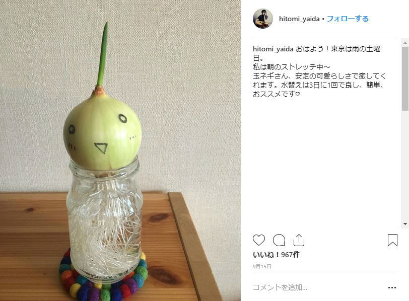 9月15日投稿時点の玉ねぎ