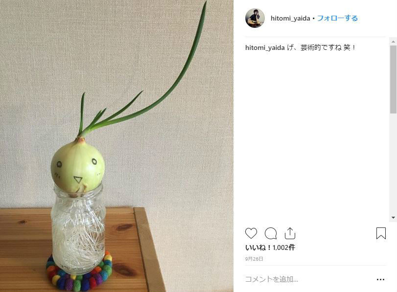 9月26日投稿時点の玉ねぎ
