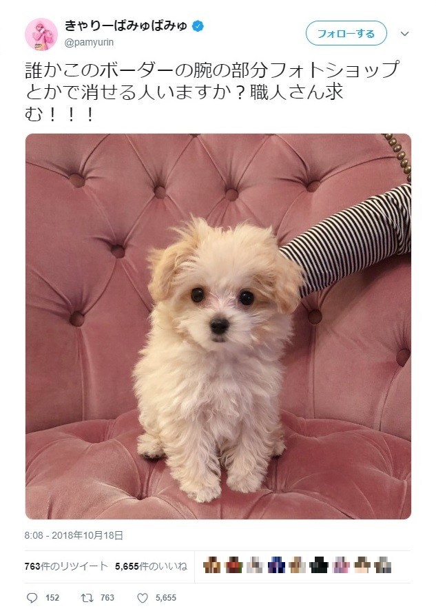 きゃりーぱみゅぱみゅさんのツイッターから
