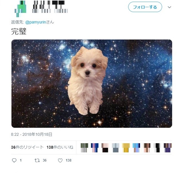 きゃりーぱみゅぱみゅさんのツイッターから
