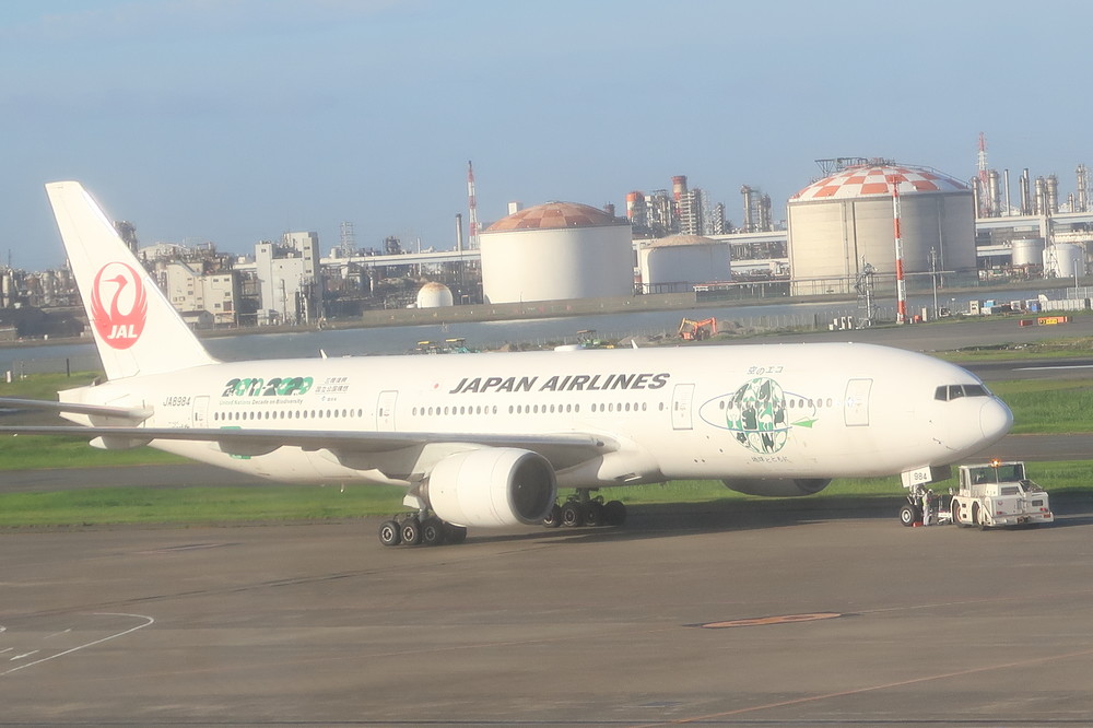 タイムリミット迫ってたのに...　JAL痛恨「オーバーブッキング欠航」なぜ起きたか