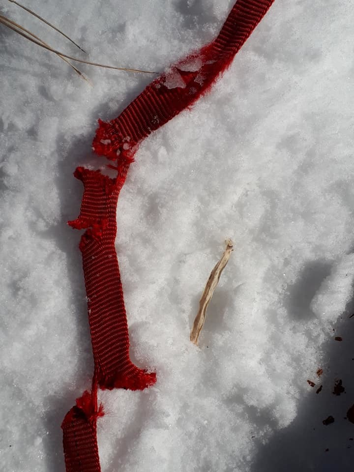 「切れ目」入った登山用スリング　気づかず使えば命の危険も...