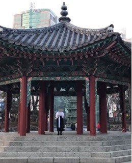 「正男氏の息子」保護団体が「臨時政府」発足宣言　「圧制者への抵抗」呼びかけ