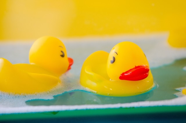 アヒルのおもちゃが「くしゃみ」誘発？　温泉施設が「客の指摘」を徹底検証したワケ