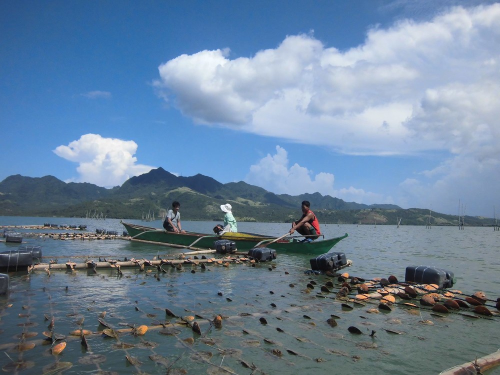 フィリピンへの「恩返し」はカキ養殖　台風ヨランダ被災地に技術伝える【震災8年　海外とつながる（最終回）】