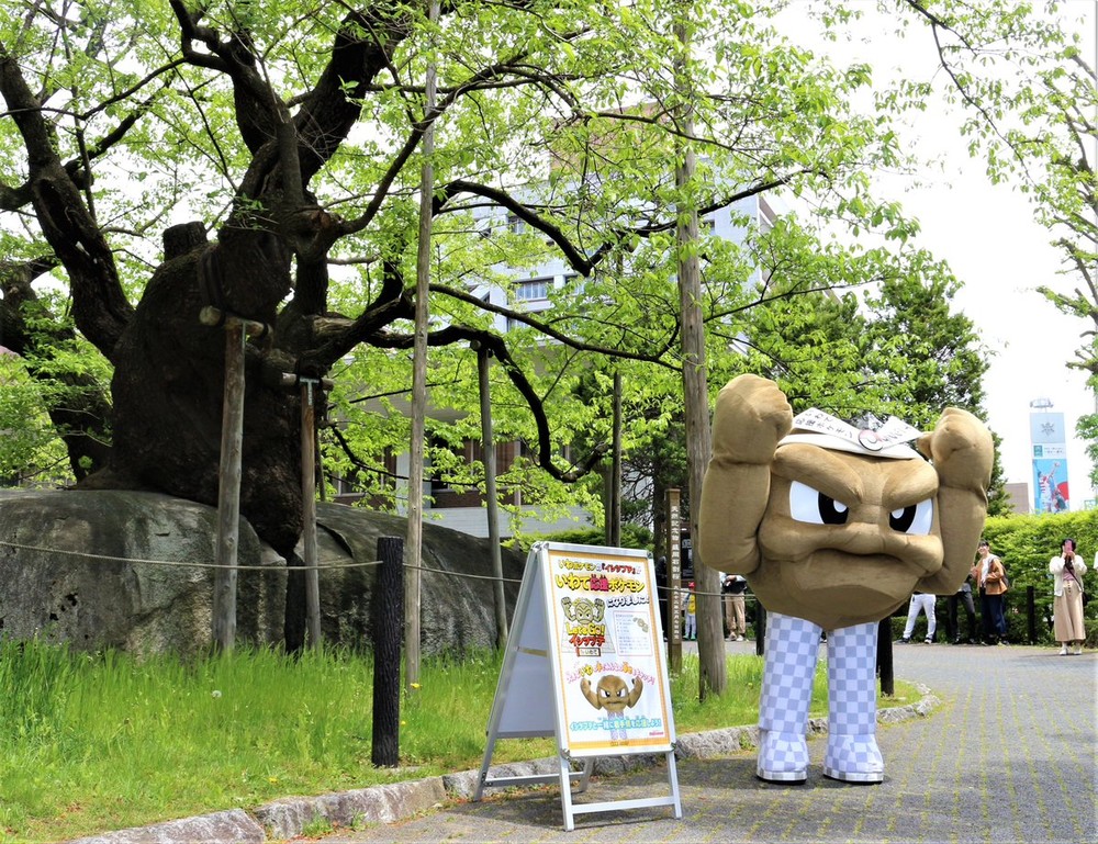 岩手のイシツブテの足は、やっぱり「透過」なのか？　ポケモン社に聞いてみた