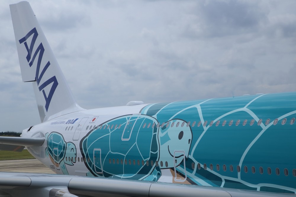 機体後部には親子のウミガメをあしらった
