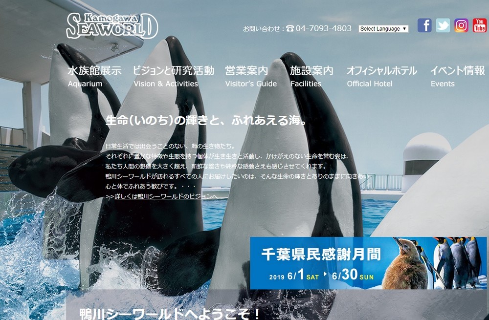 あなたの「場所取り」が、シャチたちを危険にさらしているかも...　水族館のショーで、ポンチョなどの放置がNGな理由