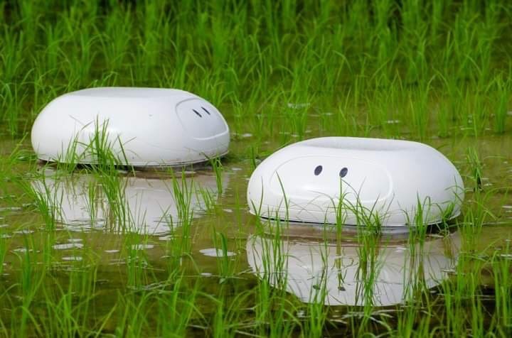日産の「アイガモロボ」がカワイイ　自動運転技術で稲作サポート