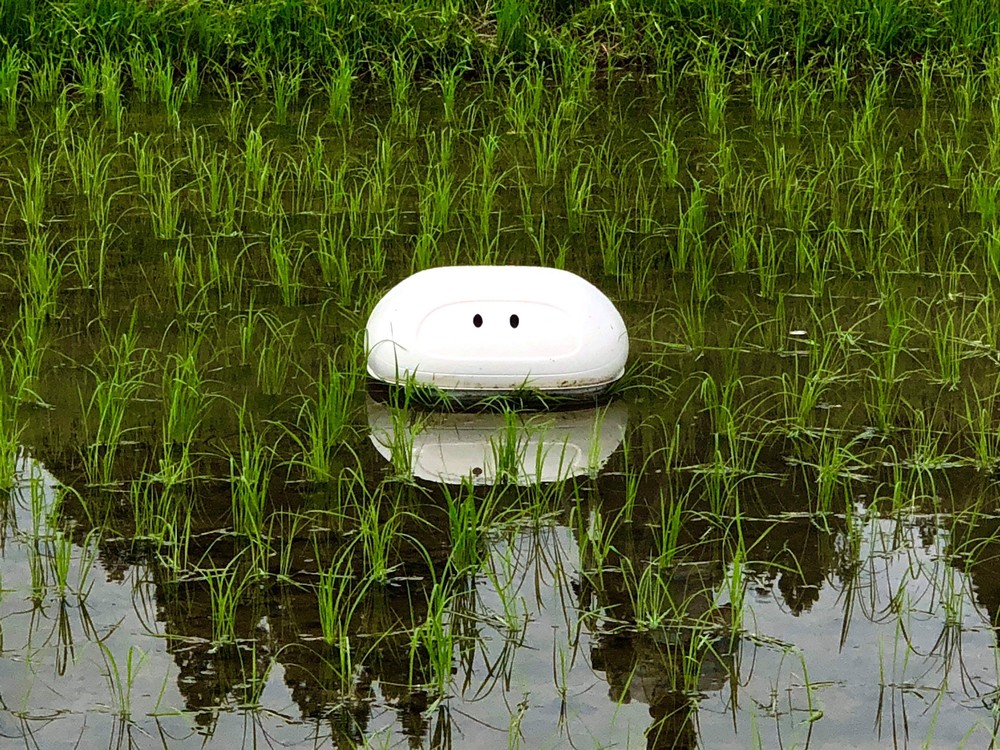 こちらを見つめるアイガモロボ（日産提供）